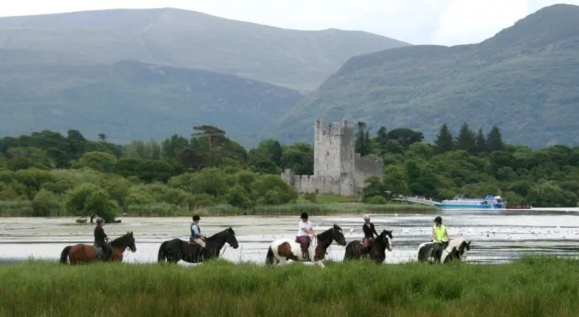 Copper Kettle B&B Killarney