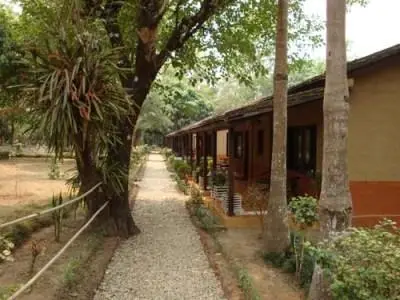 Safari Narayani Lodge Chitwan 