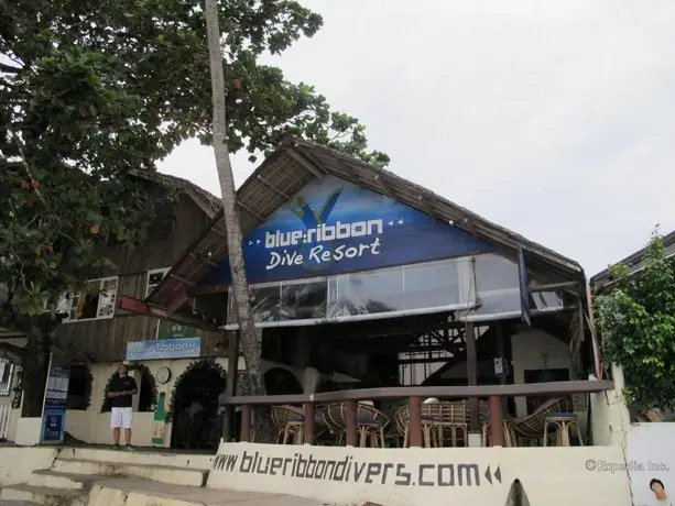 Blue Ribbon Divers & Sunsplash Resort Puerto Galera