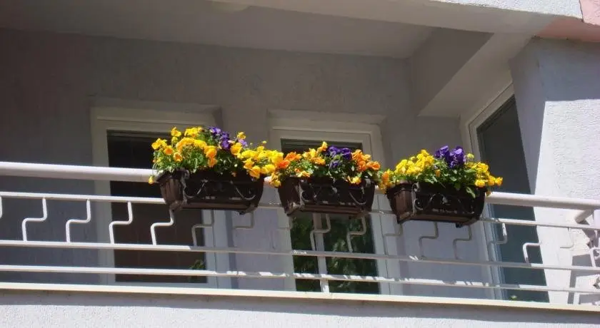 Apartments Nela Ohrid