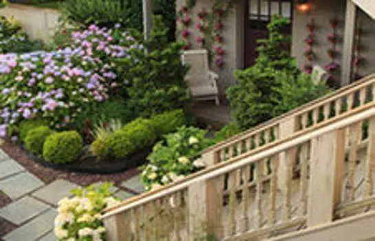 Hydrangea House Inn