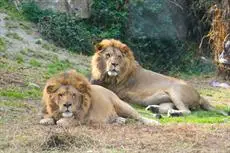 Hotel Selwo Lodge - Animal Park Tickets Included 