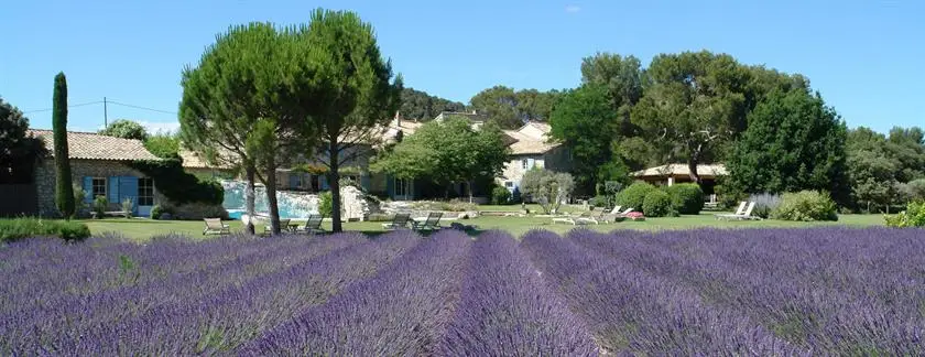 Mas Collection Villas Saint-Remy-de-Provence 