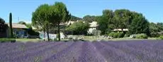 Mas Collection Villas Saint-Remy-de-Provence 