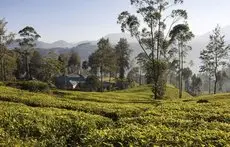 Ceylon Tea Trails 