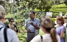 Ceylon Tea Trails 