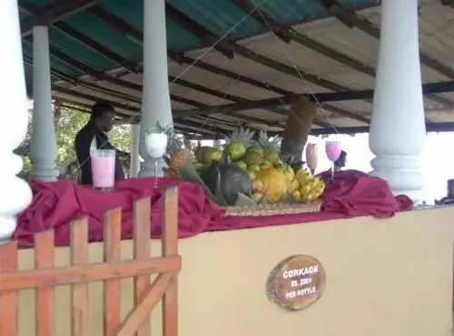 Polhena Reef Garden 