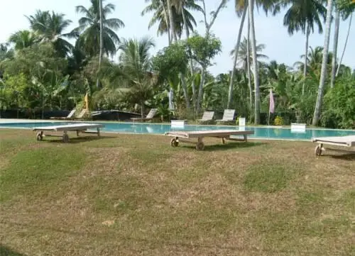 Polhena Reef Garden 