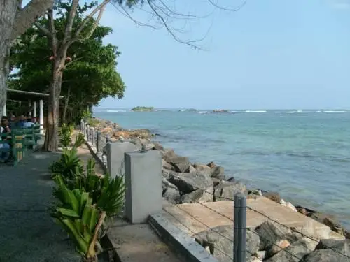 Polhena Reef Garden 