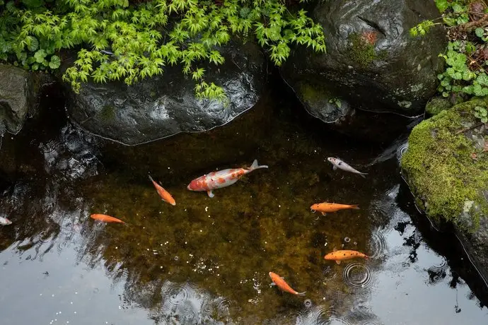 Ryokan Gizan 