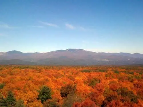 Karuizawa Hotel 1130 