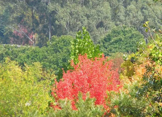 Bright Highland Valley Cottages 