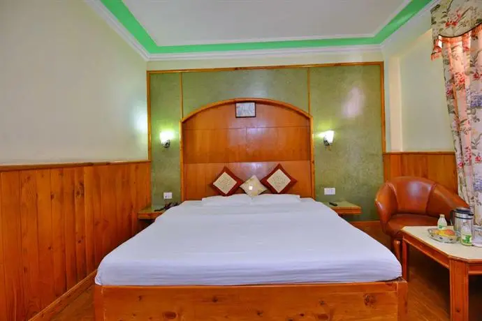 Hotel Jupiter Manali