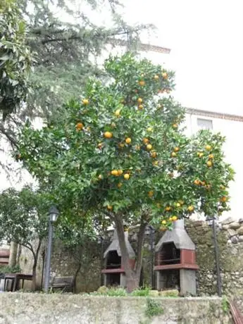 Old Garden Bed & Breakfast Cosenza