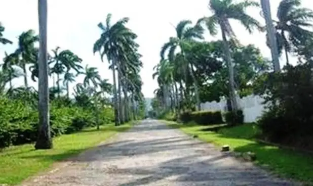 Paradise Mammee Bay Villa Ocho Rios 