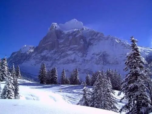 Hotel Alte Post Grindelwald 