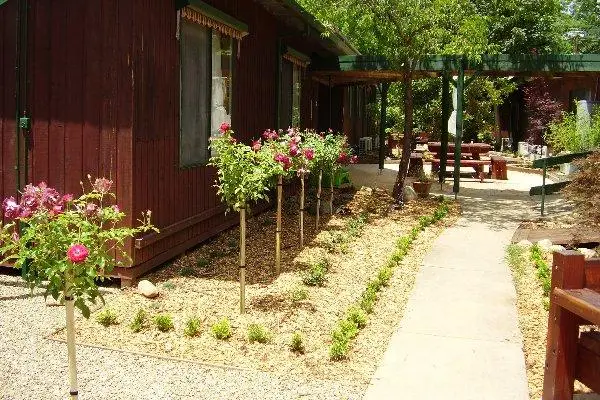 Bright Alps Guest House 