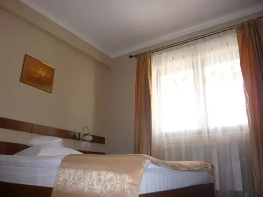 Hotel Crisana Arad