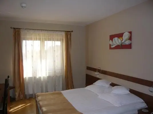 Hotel Crisana Arad 