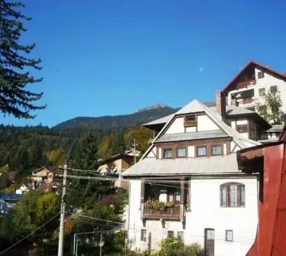 Vila Felix Sinaia