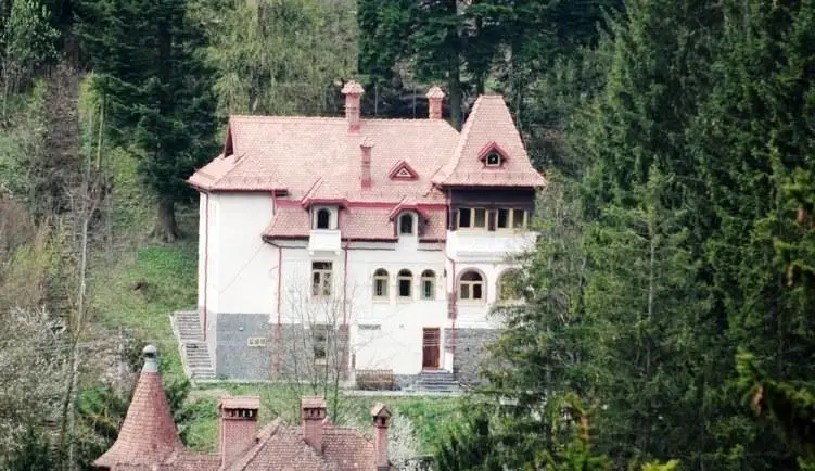 Vila Sinaia 1929 Accommodation 