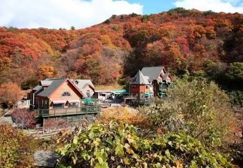 Gyeongju JY Pension 