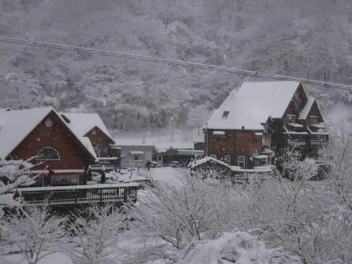 Gyeongju JY Pension 