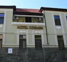 Hotel Cosmin Arad 