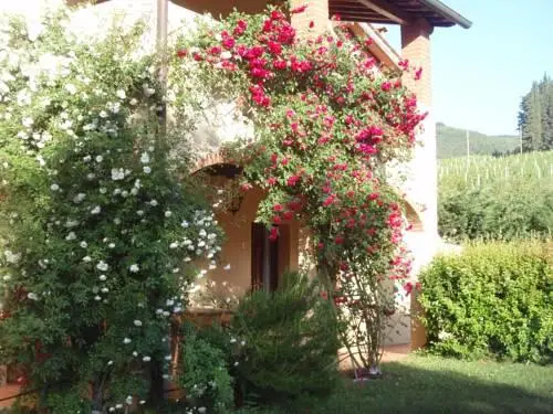 Villa Buonasera Agriturismo