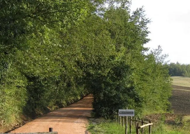 Azienda Agraria Montelujano 