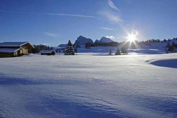 Adler Spa Resort Dolomiti 