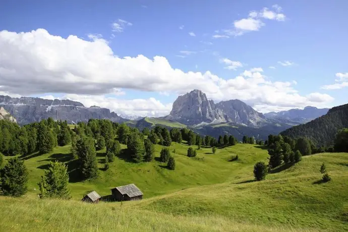 Adler Spa Resort Dolomiti 