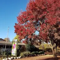 Bogong View Motor Inn 