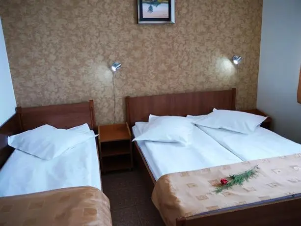 Hotel Ovidiu 