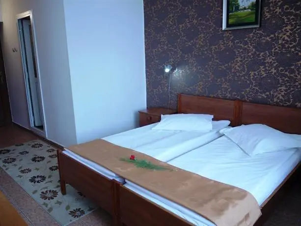 Hotel Ovidiu 