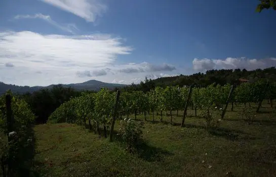 Casale a Poggiano 