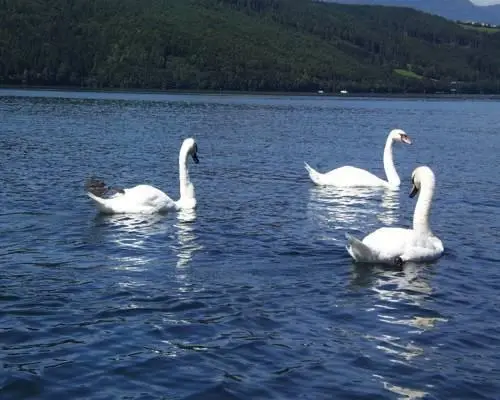 Hotel Pension Larchenhof Spittal an der Drau 