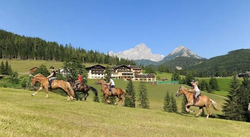 Hotel Neubergerhof 