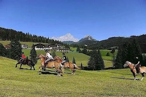 Hotel Neubergerhof 