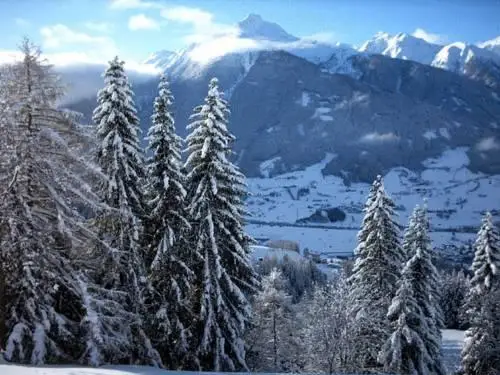 Edelweiss Matrei in Osttirol 