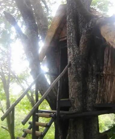 Marc's Treehouse Lodge 