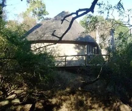 Marc's Treehouse Lodge 