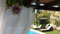 Bed & Breakfast Guest House Casa Don Carlos 