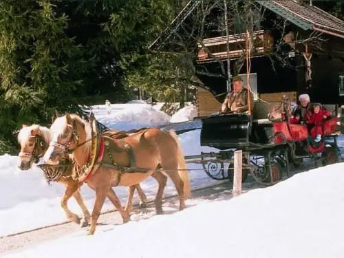 Appartement Pillersee 