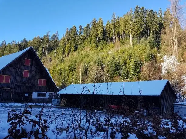 Gut Lauterbad Hotel