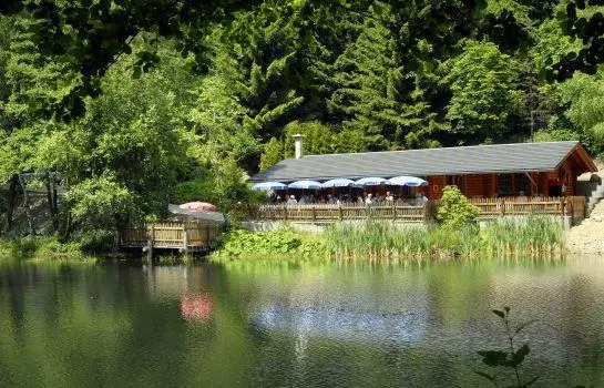 Waldhaus am See 