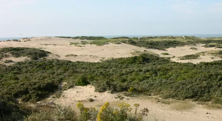 Hotel Carnac