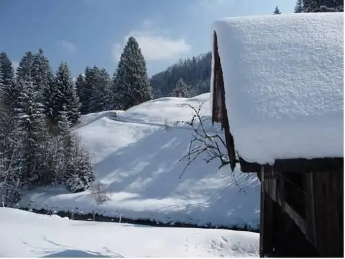 Gastehaus Schmid Obermaiselstein 