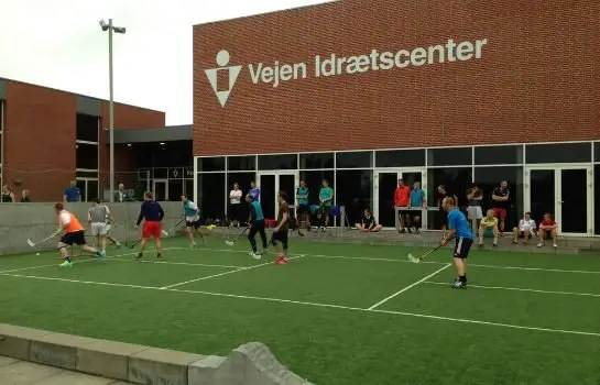 Danhostel Vejen Sport 