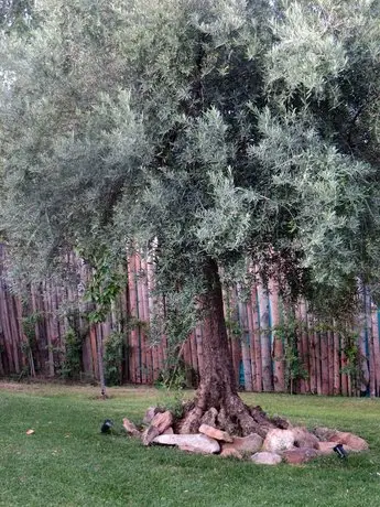 El Encuentro En Chacras De Coria 